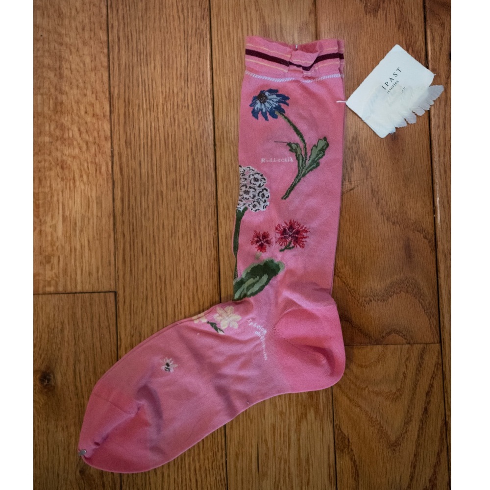 Antipast Socks